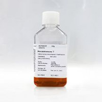 小牛血清