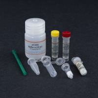 AT-022 Minute™ 动物脂肪组织及细胞总蛋白提取试