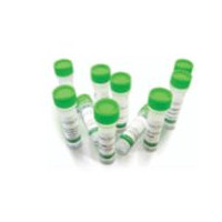 iFluor 350琥珀酰亚胺酯，（替代Alexa Fluo