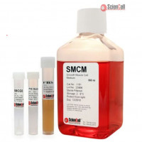 ScienCell平滑肌细胞培养基SMCM(货号1101）