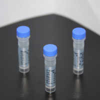 脑钠肽抗原/BNP antigen