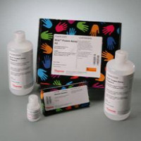 BCA 蛋白定量试剂盒 BCA Protein Assay