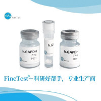 Recombinant Mouse EGF