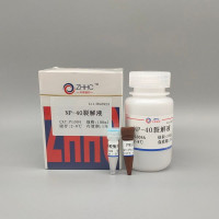 NP40裂解液(带有抑制剂)