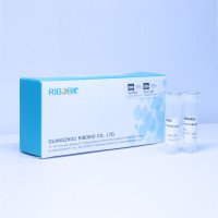 miRNA qRT-PCR标准RNA