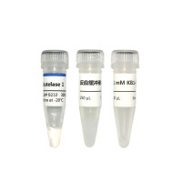 Butelase 1连接酶