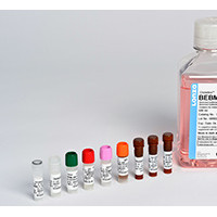 lonza BEGM™ Bronchial Epitheli