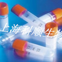 3,4,5-三甲氧基苯基 6-O-[5-O-(4-羟基-3,