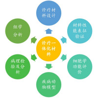 诊断一体化材料