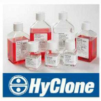 新西兰补铁新生牛血清，Hyclone SH30626.02