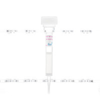 Gravity flow Strep-Tactin®XT 4