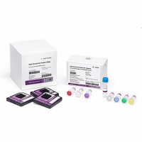 5067-1575安捷伦高灵敏度 Protein 250 试