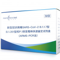 新型冠状病毒SARS-CoV-2 B.1.1.7型、B.1.
