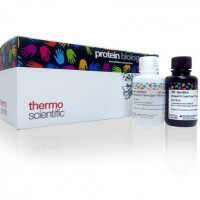 Thermo Scientific™ SuperSignal