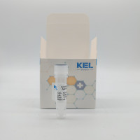 Anti-GFP Nanobody Agarose Bead