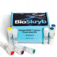 Bioskryb PTA技术-单细胞全基因组扩增技术