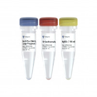 Bst II Pro DNA Polymerase Larg