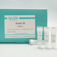 Endo H