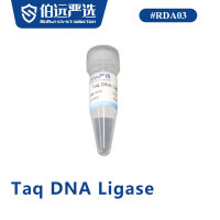 Taq DNA Ligase