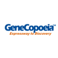 RNaseLock™ RNase Inhibitor RNA