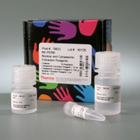 Thermo Scientific 蛋白抽提试剂