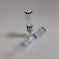 DNase I，RNase-free