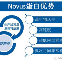 Novus蛋白