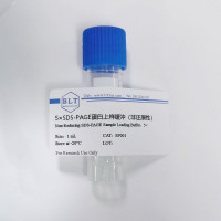 5×SDS-PAGE蛋白上样缓冲液（变性非还原性）