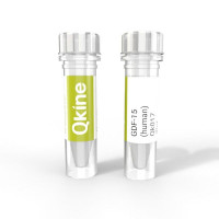 Qkine细胞因子 重组人GDF-15蛋白