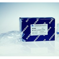 BCA蛋白测定试剂盒