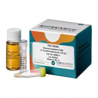 Phage Display ElectroCombo Pac