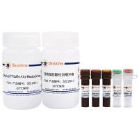Amplex Red游离脂肪酸检测试剂盒