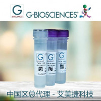 经典免疫沉淀试剂盒|Classical Immunoprec