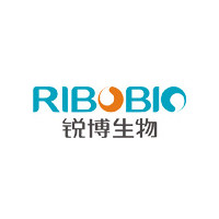 RNA Oligo 合成