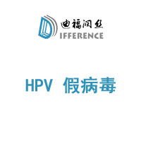 HPV假病毒（型别包括6、11、16、18、31、33、45