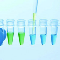 QuantiNova SYBR PCR Mix Kit（20