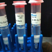 1ml NI-NTA 镍纯化柱（超高性价比） 纯化his T