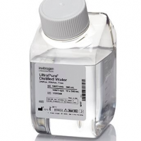 Invitrogen UltraPure DNase/RNa