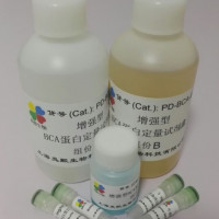 增强型BCA蛋白定量试剂盒