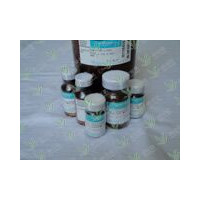 磷酸酶抑制剂，不含EDTA  Phosphatase Inh