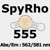 SpyRho 555 活细胞RNA成像荧光染料