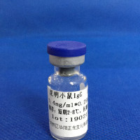 昆明小鼠血清IgG
