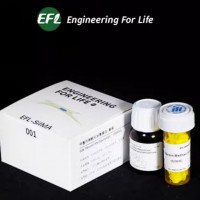 甲基丙烯酰化丝素蛋白（SilMA)