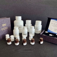 LNPs递送系统辅料