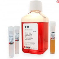 ScienCell成纤维细胞培养基FM
