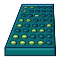 PARP2 Chemiluminescent Assay K