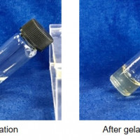 Matrix Gel