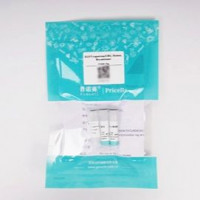 Oncostatin M（人）重组蛋白