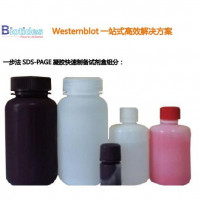 biotides一步法凝胶快速制备试剂盒WB2101 WB2