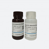 BGL Super ECL Detection Reagen